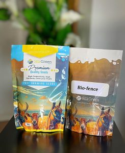 Bio-fence-seeds-SilagreenAgro